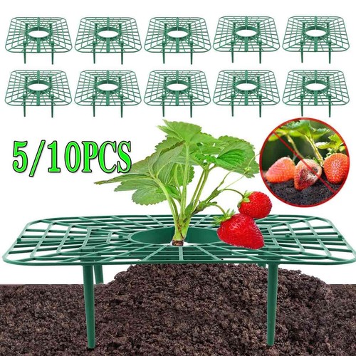 10x adjustable strawberry - 5/10x,